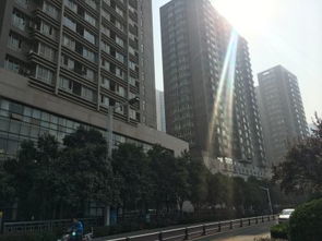 鄭州未來國際項目綜合分析 優勢、不足及周邊房產中介評價