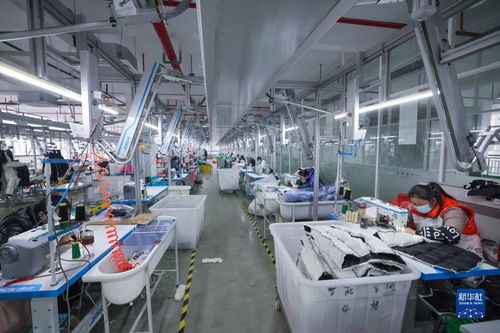 湖州童裝之都 以輔料制造為基石，從“做產品”到“創品牌”的產業升級之路